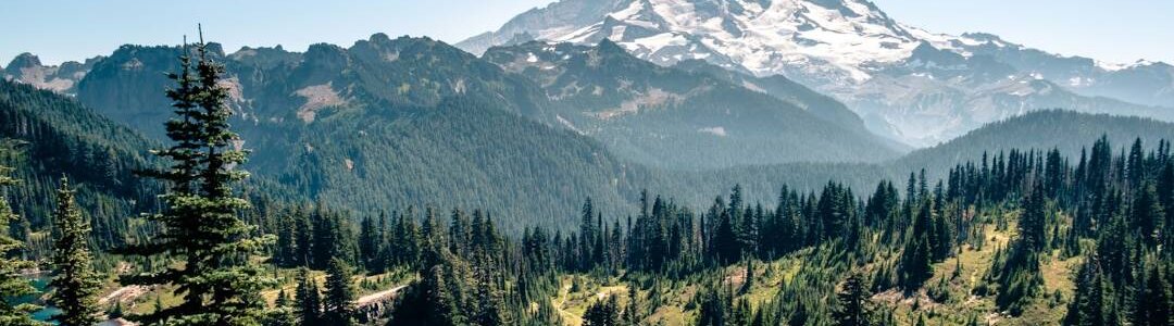 washington washington