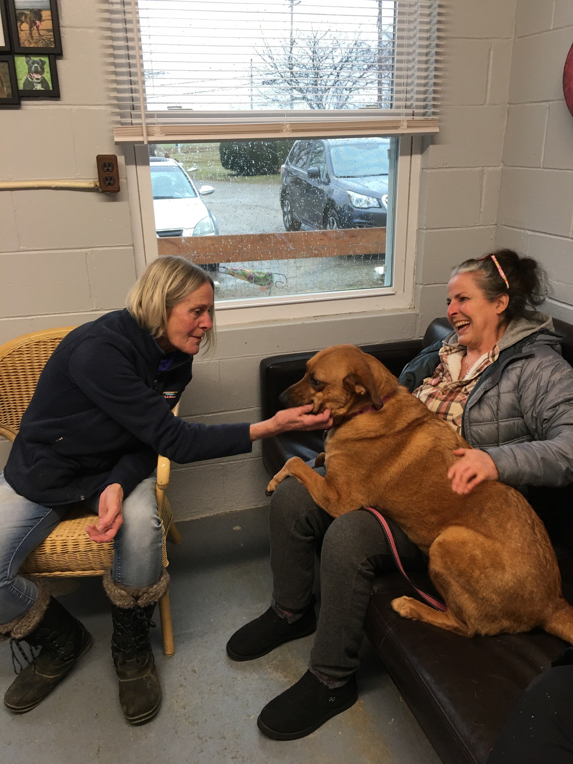 noodle-visits-rescue-ridge-pic-2-feb-5-2020-mary.jpg
