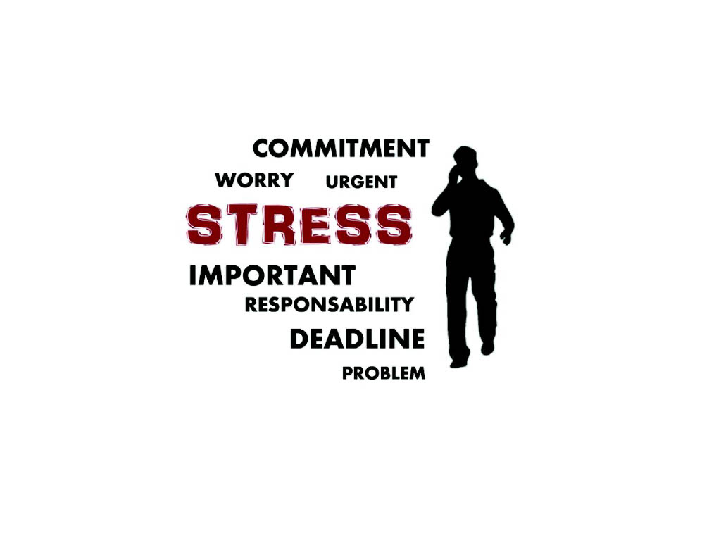 Understanding Your Stress and Anxiety Response