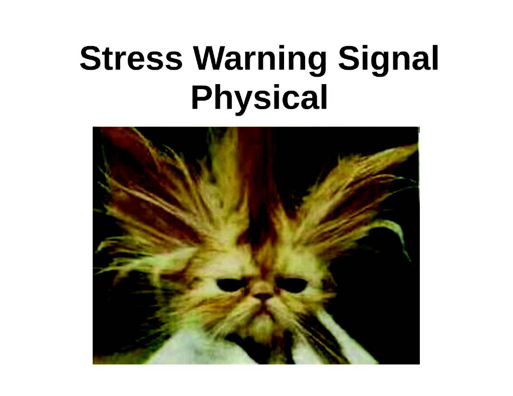 Physical Warning Signals